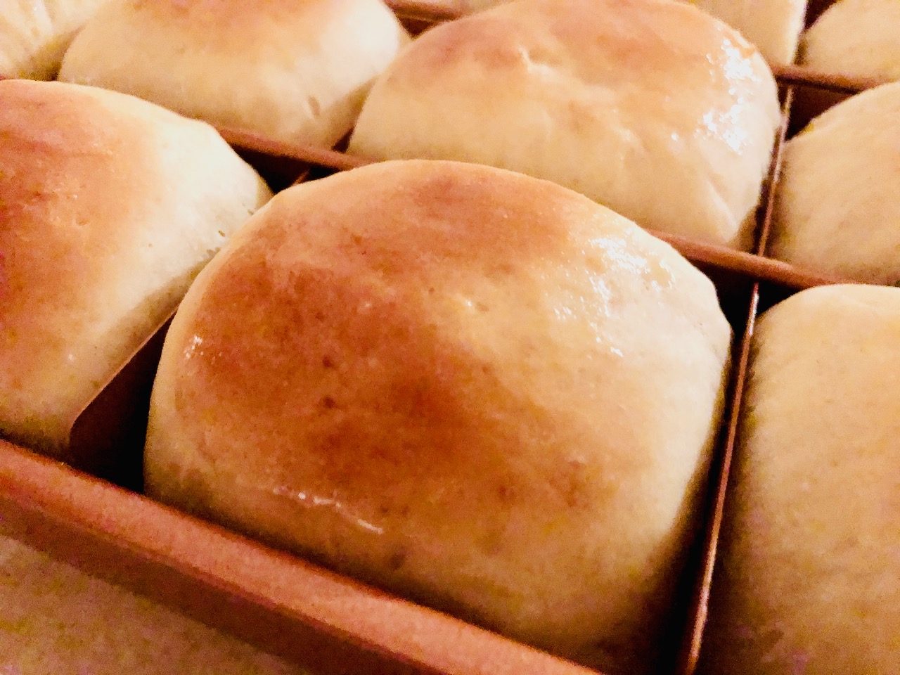 Amish Friendship Bread 30Minute Dinner Rolls