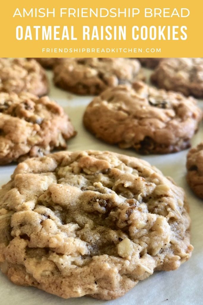 close-up of oatmeal raisin cookie