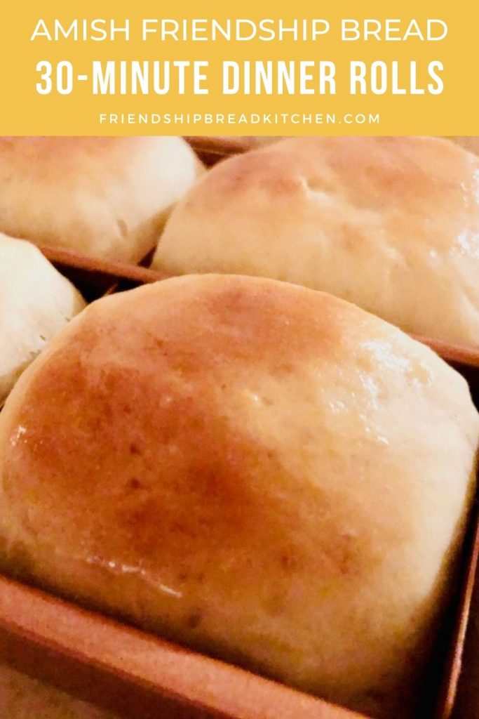 closeup of dinner rolls