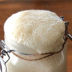 Tutorial – How to Get a Bubbly, Active Amish Friendship Bread Sourdough Starter