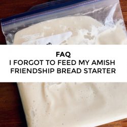 FAQ – I forgot to feed my starter, should I throw it away?