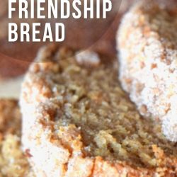 pudding free amish friendship bread