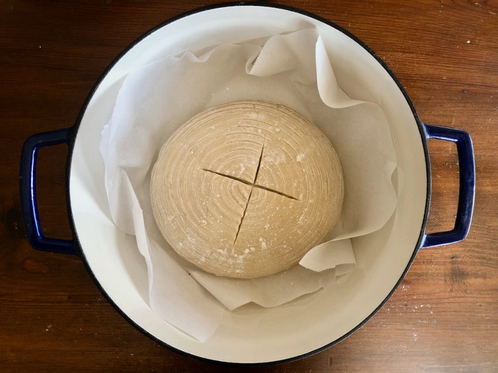 No Knead Sourdough Amish Friendship Bread