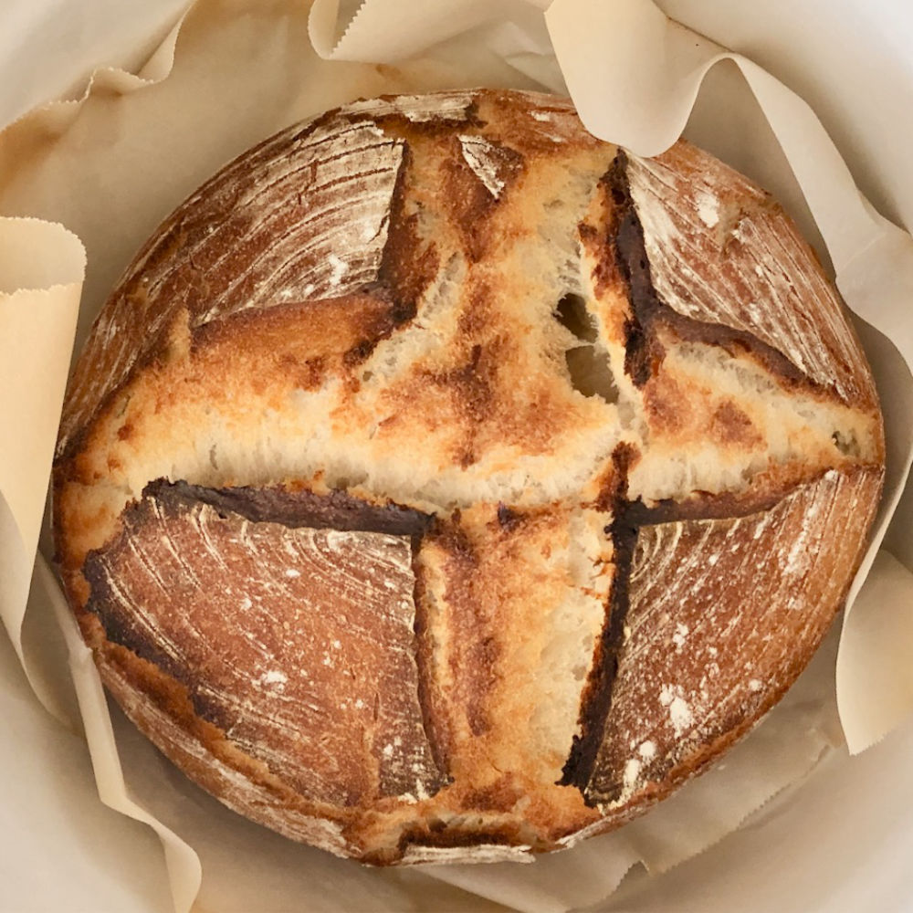 No Knead Sourdough Amish Friendship Bread