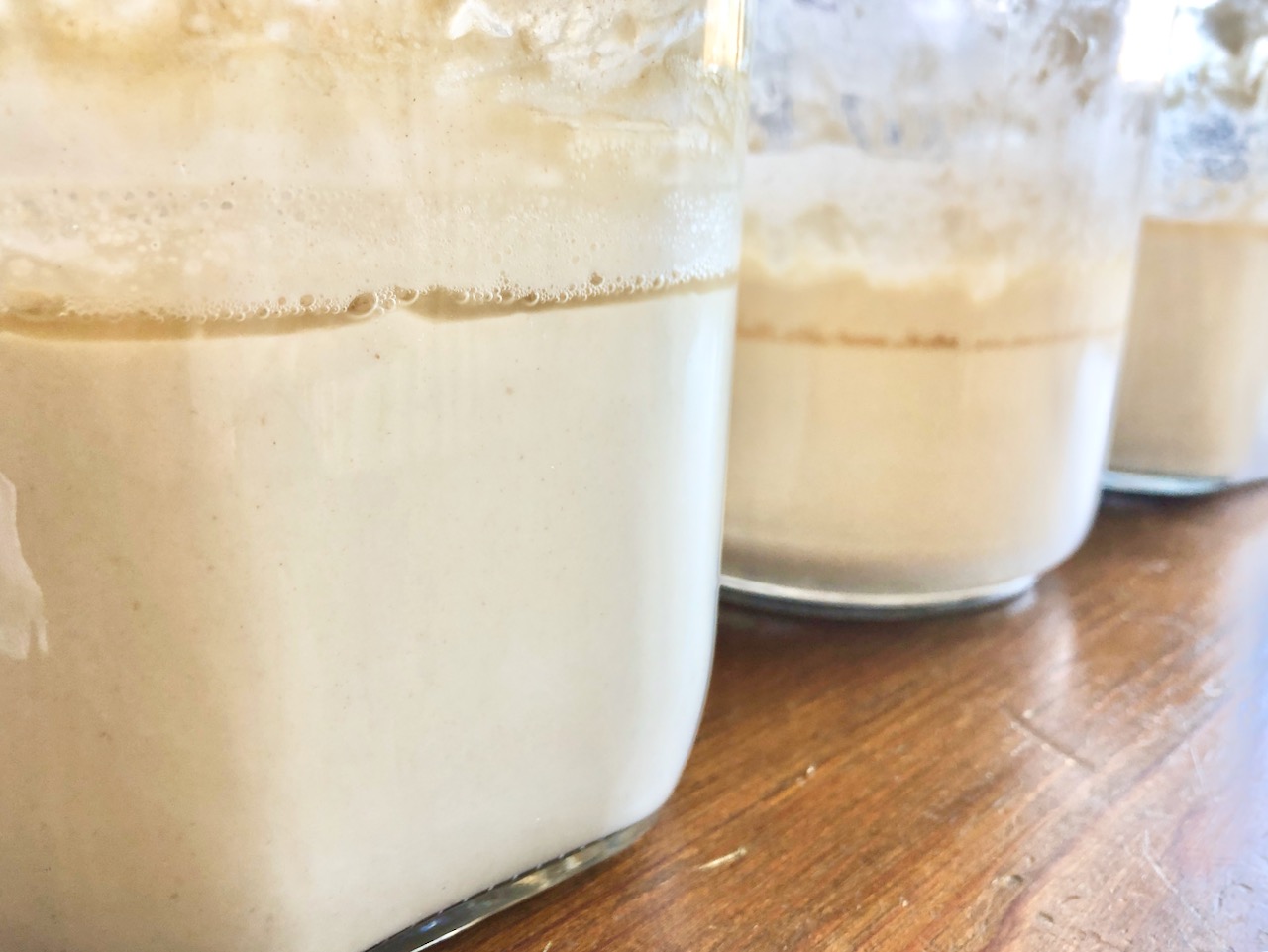 Amish Friendship Bread and Sourdough Hooch Friendship Bread Kitchen