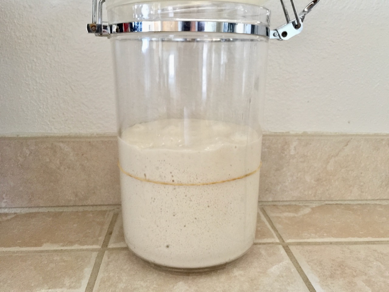 Easy Sourdough Starter Made with Yeast Friendship Bread Kitchen