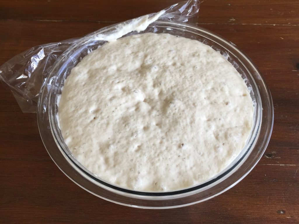 Sourdough starter in a bowl