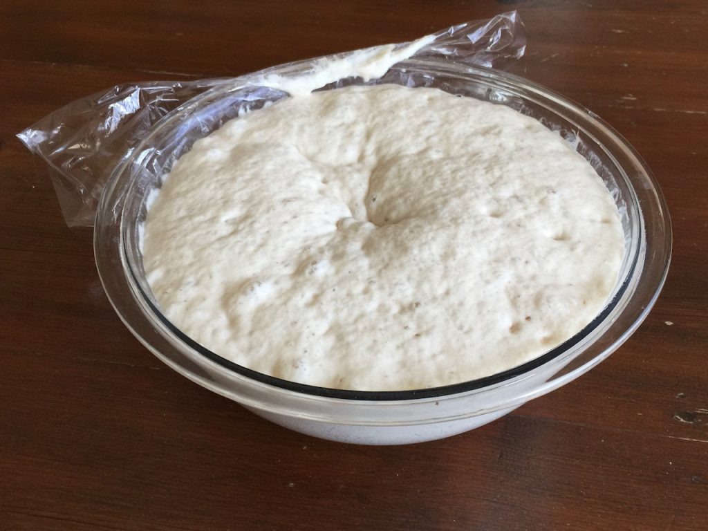 Sourdough starter in a bowl