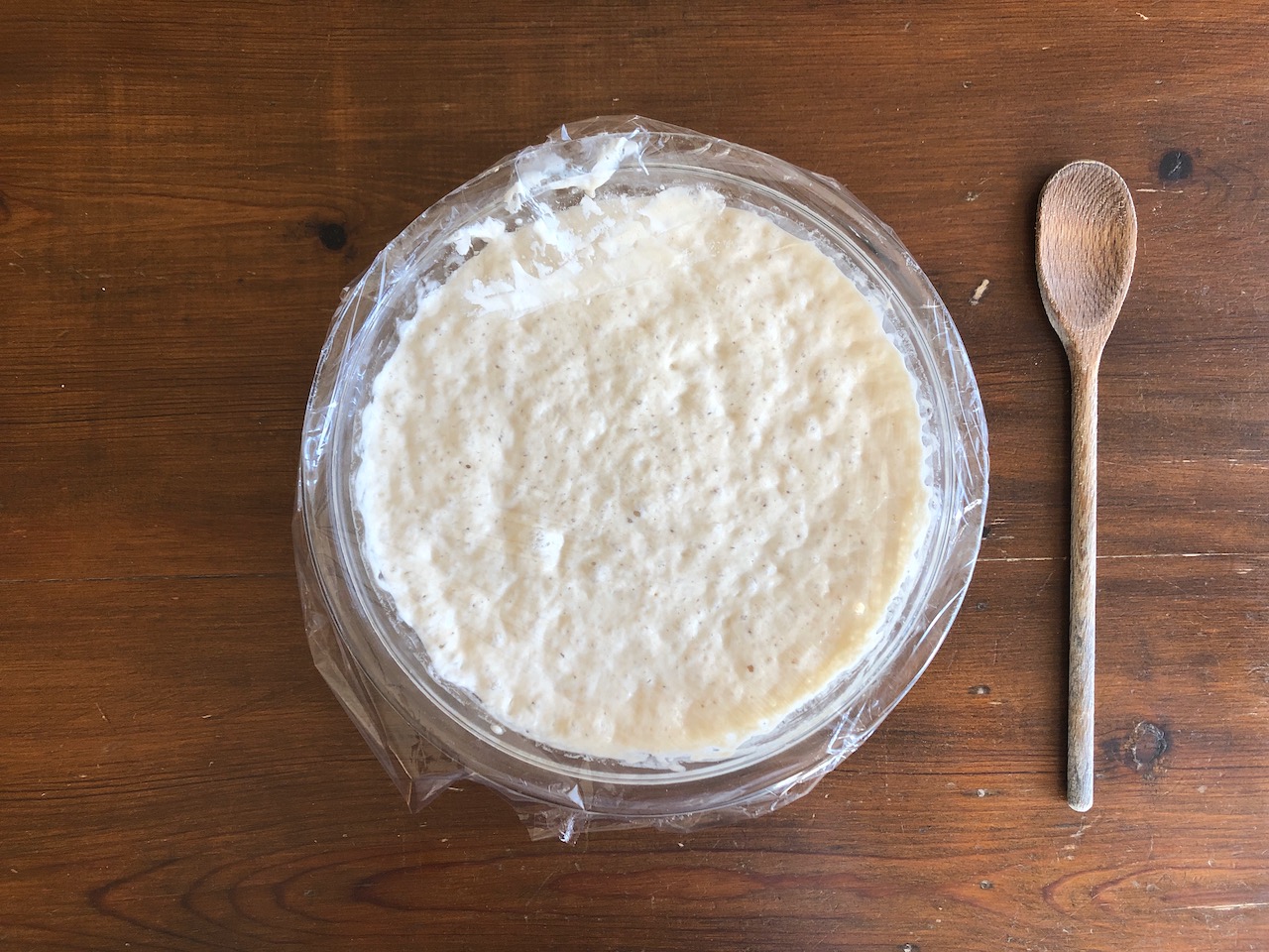 Dehydrated Sourdough Starter made with Organic Flour