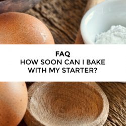 FAQ – How soon can I use my Amish Friendship Bread starter?