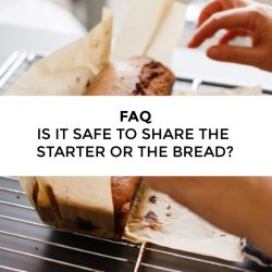 FAQ – Is it safe to share Amish Friendship Bread or the starter?