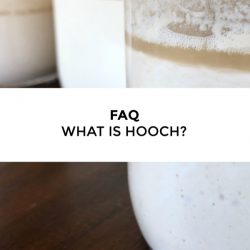 Jar of Amish Friendship Bread sourdough starter hooch