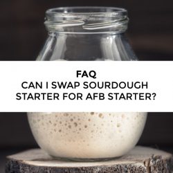 FAQ – Can I substitute regular sourdough starter in place of Amish Friendship Bread starter?