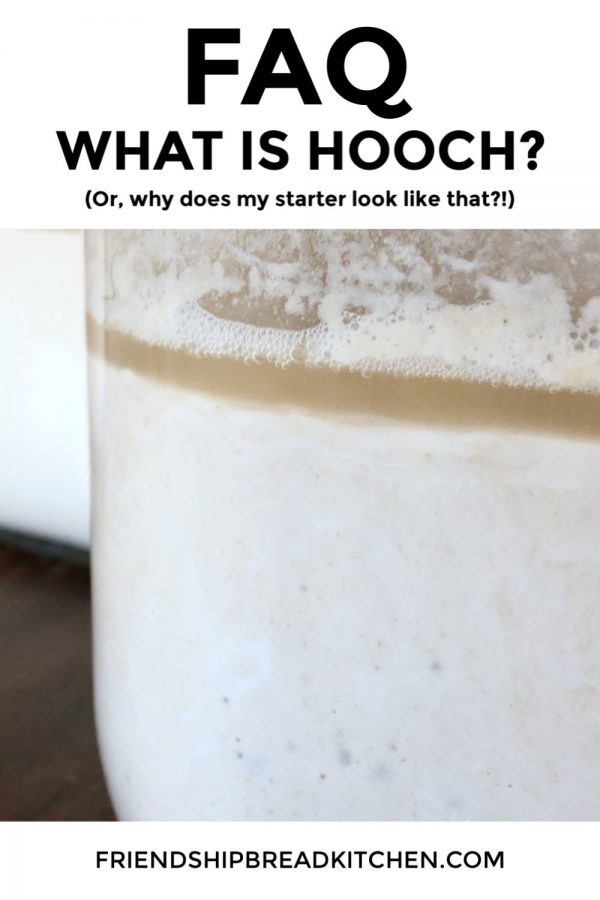 FAQ What is Starter Hooch?