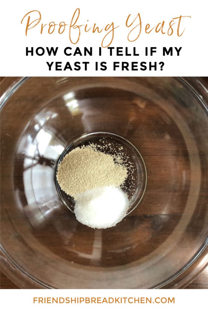 How To Check If Yeast Is Active? | Good Yeast And Bad Yeast | Schilla's Easy Recipes - Youtube