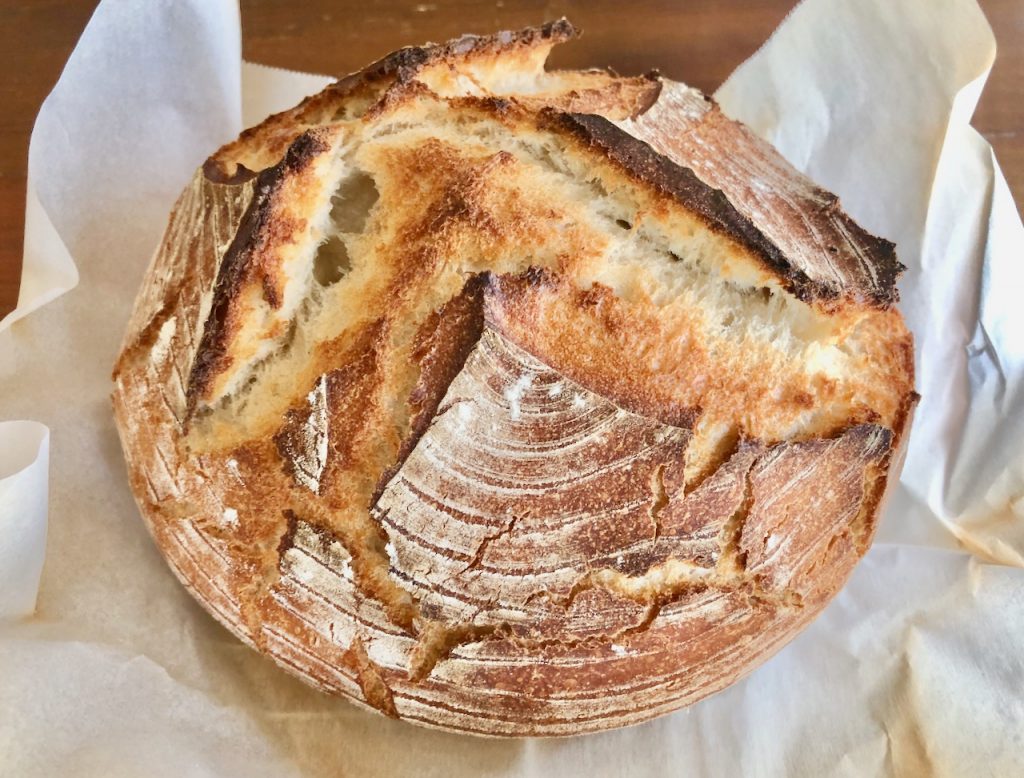 No Knead Sourdough Amish Friendship Bread