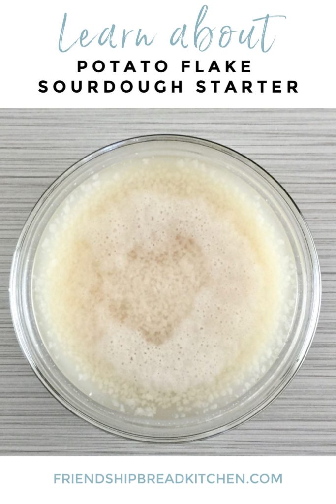 Potato Flake Sourdough Starter