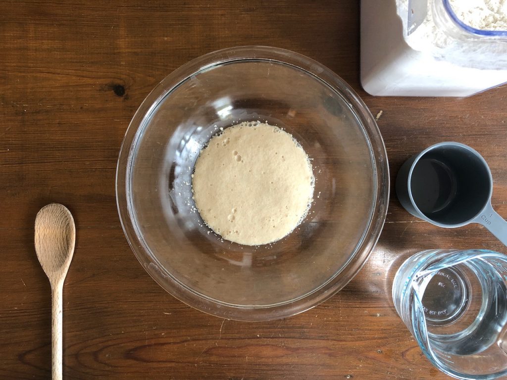 Activated yeast in a bowl