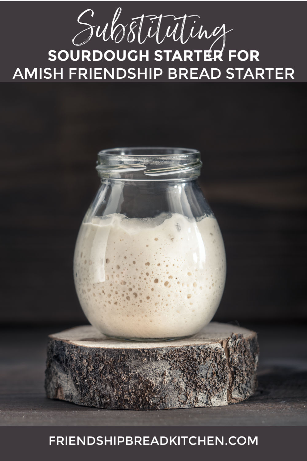 FAQ – Can I substitute regular sourdough starter in place of Amish Friendship Bread starter?