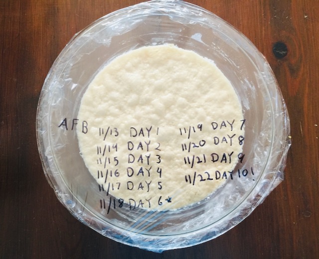 Amish Friendship Bread Starter in a glass mixing bowl