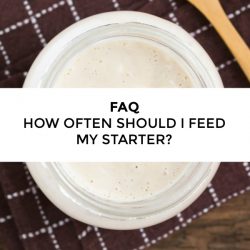 FAQ – How often should I feed my starter?