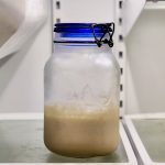 A jar of Amish Friendship Bread starter on a shelf in the refrigerator.