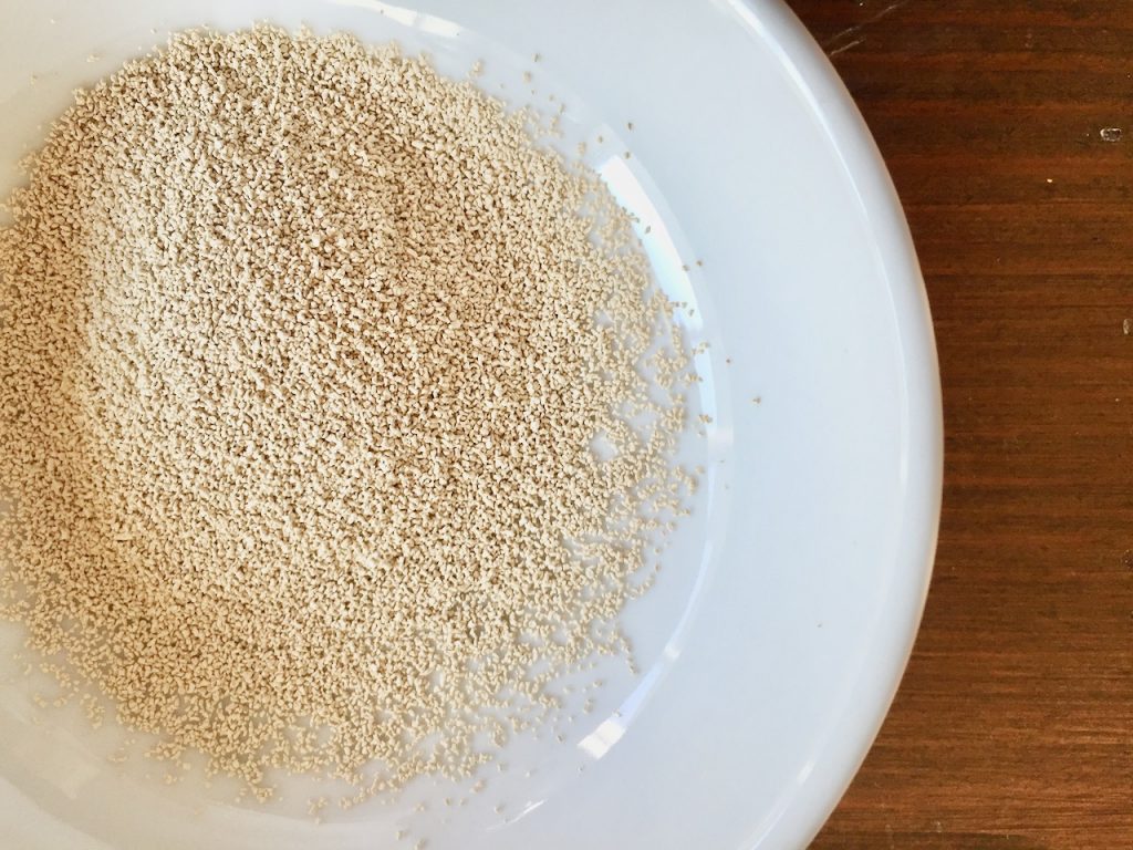 dry yeast inside a white bowl