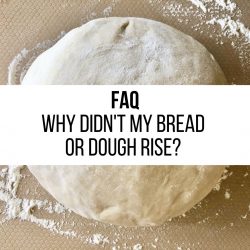 FAQ – Why didn’t my bread or dough rise?