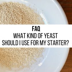 FAQ – What kind of yeast should I use for my starter?