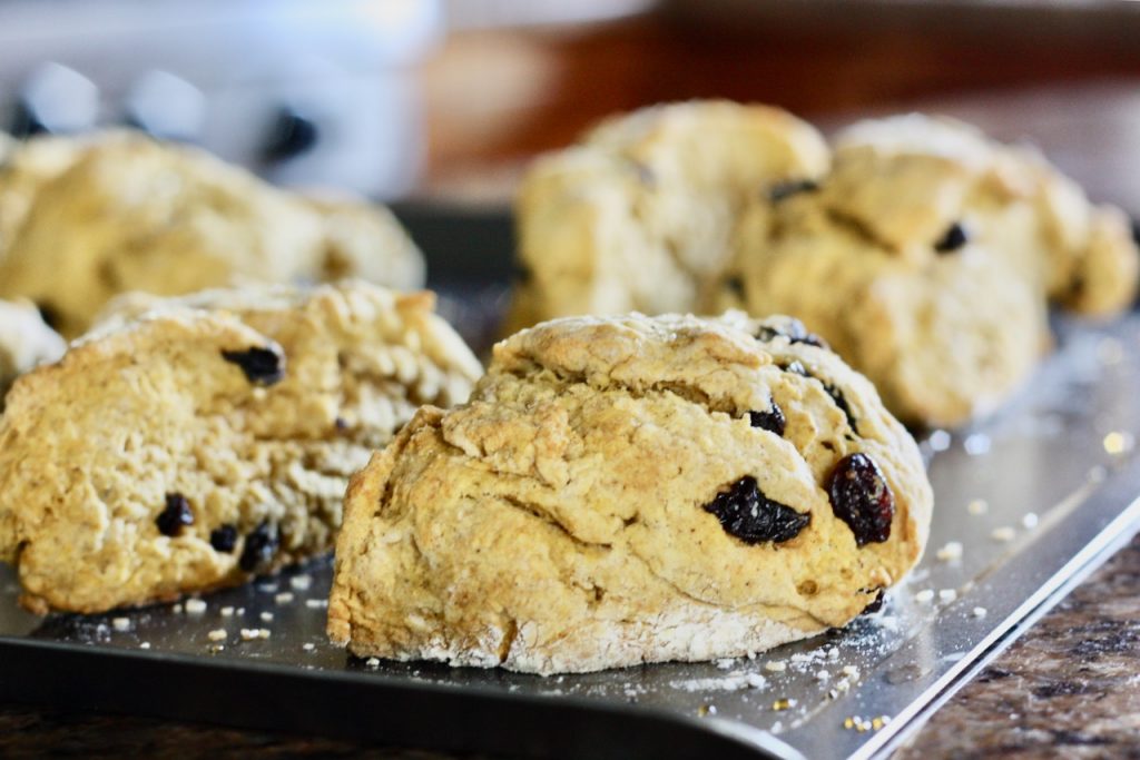 Pumpkin Amish Friendship Bread Scone 