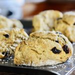 Pumpkin Amish Friendship Bread Scones