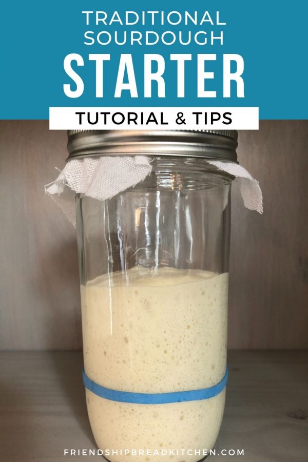 Sourdough Starter 101 Friendship Bread Kitchen