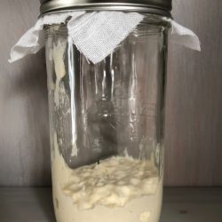 Sourdough starter in a tall jar.