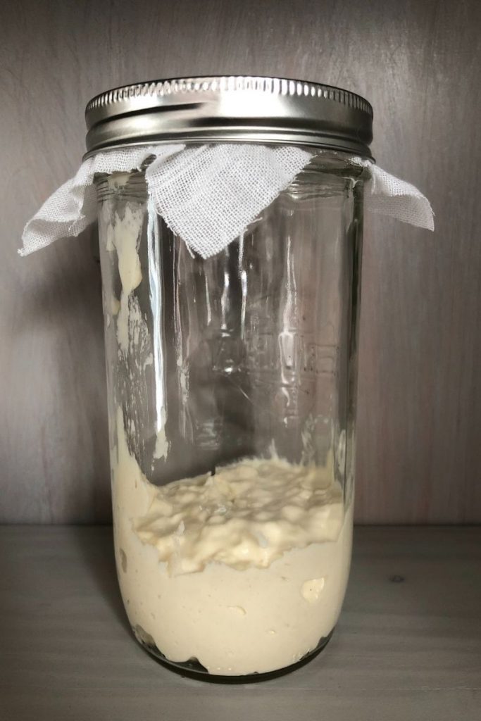 Sourdough starter in a tall jar.