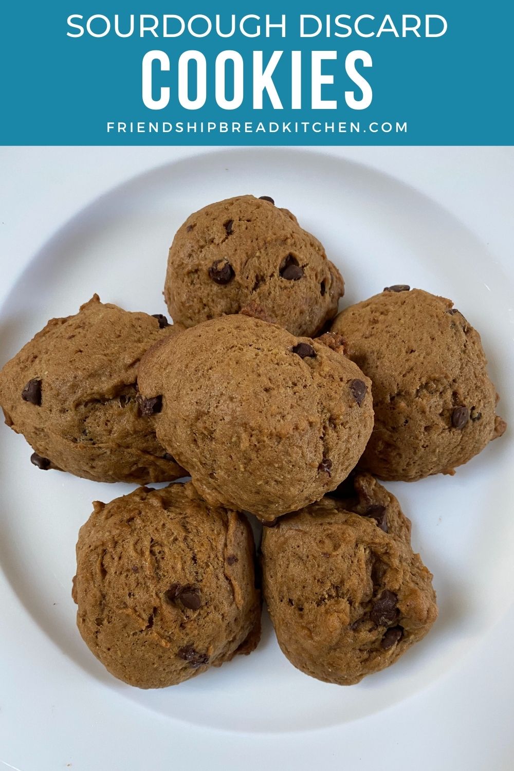 Vegan Sourdough Discard Chocolate Chip Cookies Friendship Bread Kitchen