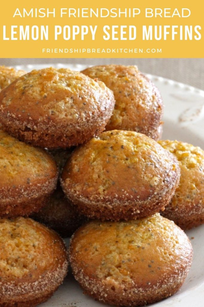 Lemon Poppy Seed Amish Friendship Bread Muffins