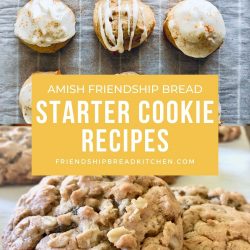 amish friendship bread and sourdough cookies